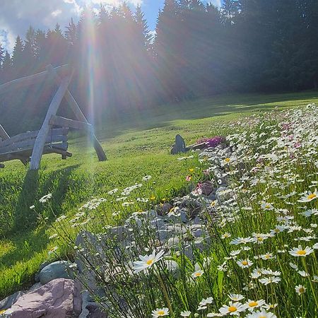 Ferienhof Obertenn Hochfilzen Eksteriør bilde