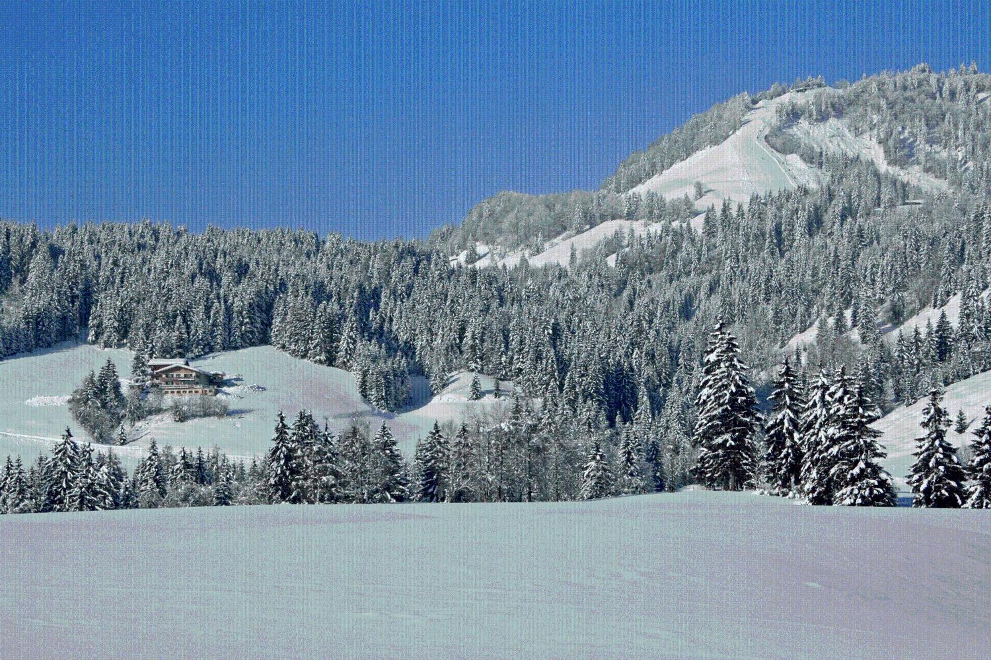 Ferienhof Obertenn Hochfilzen Eksteriør bilde